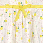 Baby Girls Lemon Printed Fit & Flare Dress